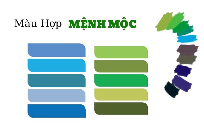 2002 Mệnh Gì? Tìm Hiểu Về Tính Cách, Màu Sắc Và Tuổi Hợp Cho Người Sinh Năm 2002 - ảnh 2