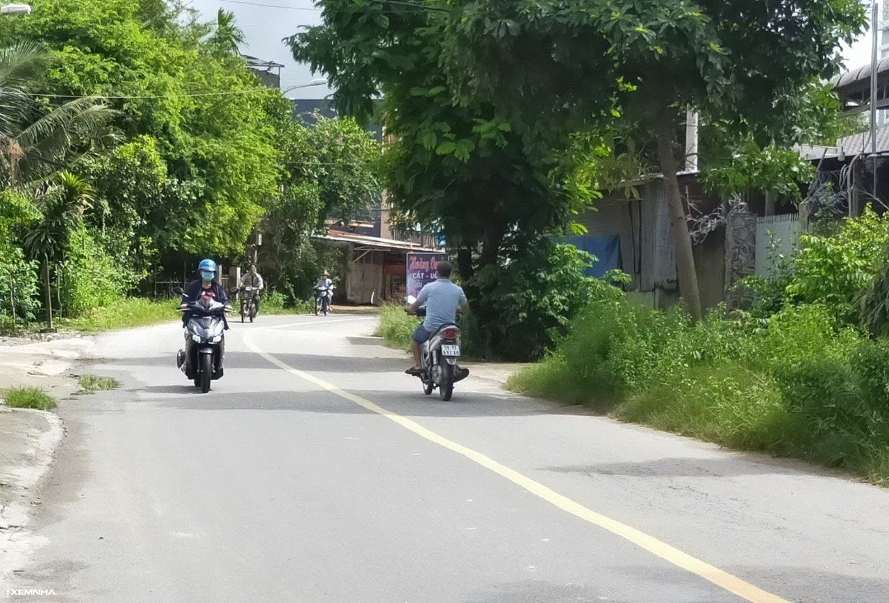 Bán không được, nhà đầu tư Hóc Môn, Củ Chi bất đắc dĩ “ôm đất” chờ tăng giá - ảnh 2