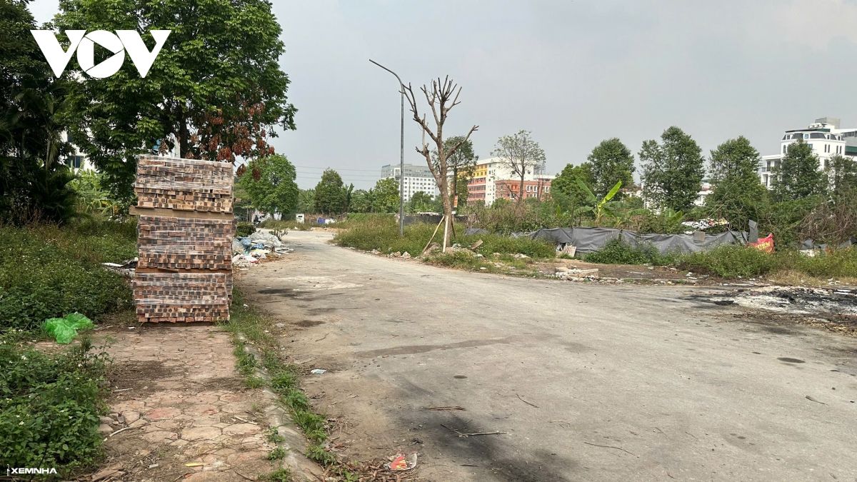 Cận cảnh dự án khu dân cư mới ở Hà Đông bỏ hoang lãng phí cỏ mọc um tùm - ảnh 4