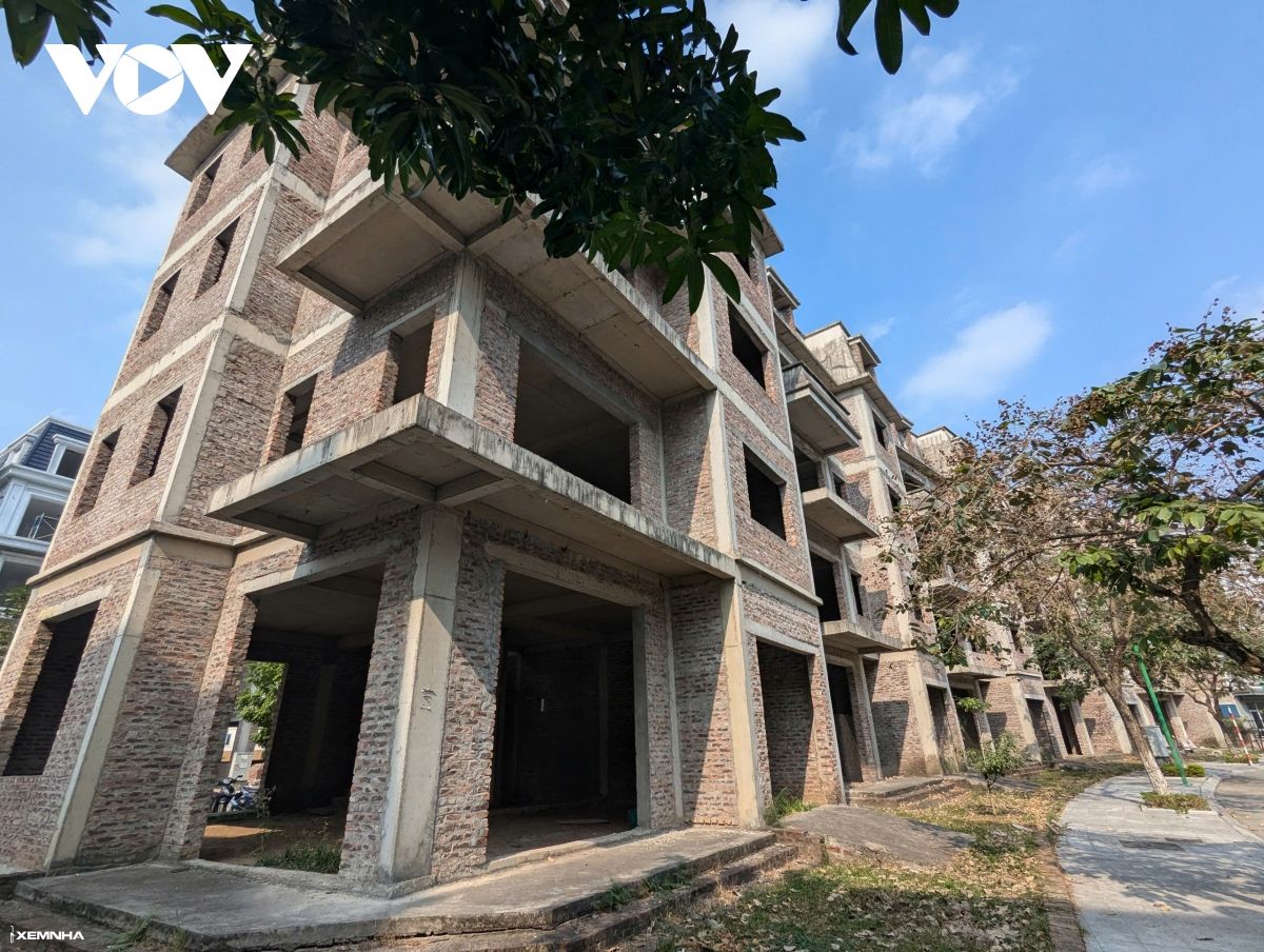 Cận cảnh khu đô thị có hàng trăm biệt thự triệu đô bị bỏ hoang ở Hà Nội - ảnh 1