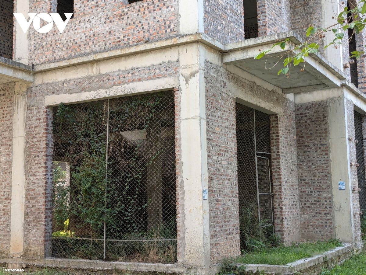 Cận cảnh khu đô thị có hàng trăm biệt thự triệu đô bị bỏ hoang ở Hà Nội - ảnh 5