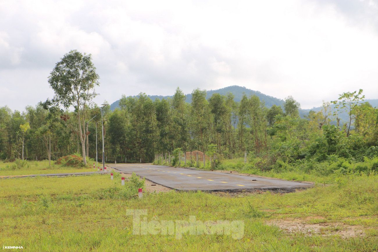 Cảnh tượng ‘cò đất’ ùn ùn đổ về, ô tô đậu kín đường làng sau công bố quy hoạch - ảnh 8