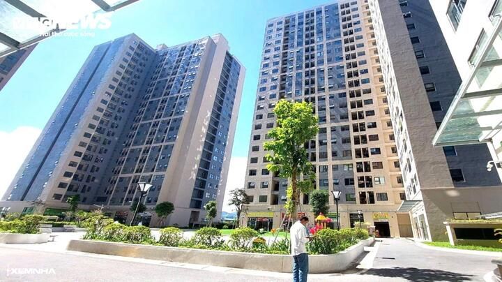 Chủ tịch Đà Nẵng đề nghị cán bộ có ô tô cần trả lại chung cư thuê của Nhà nước - ảnh 1