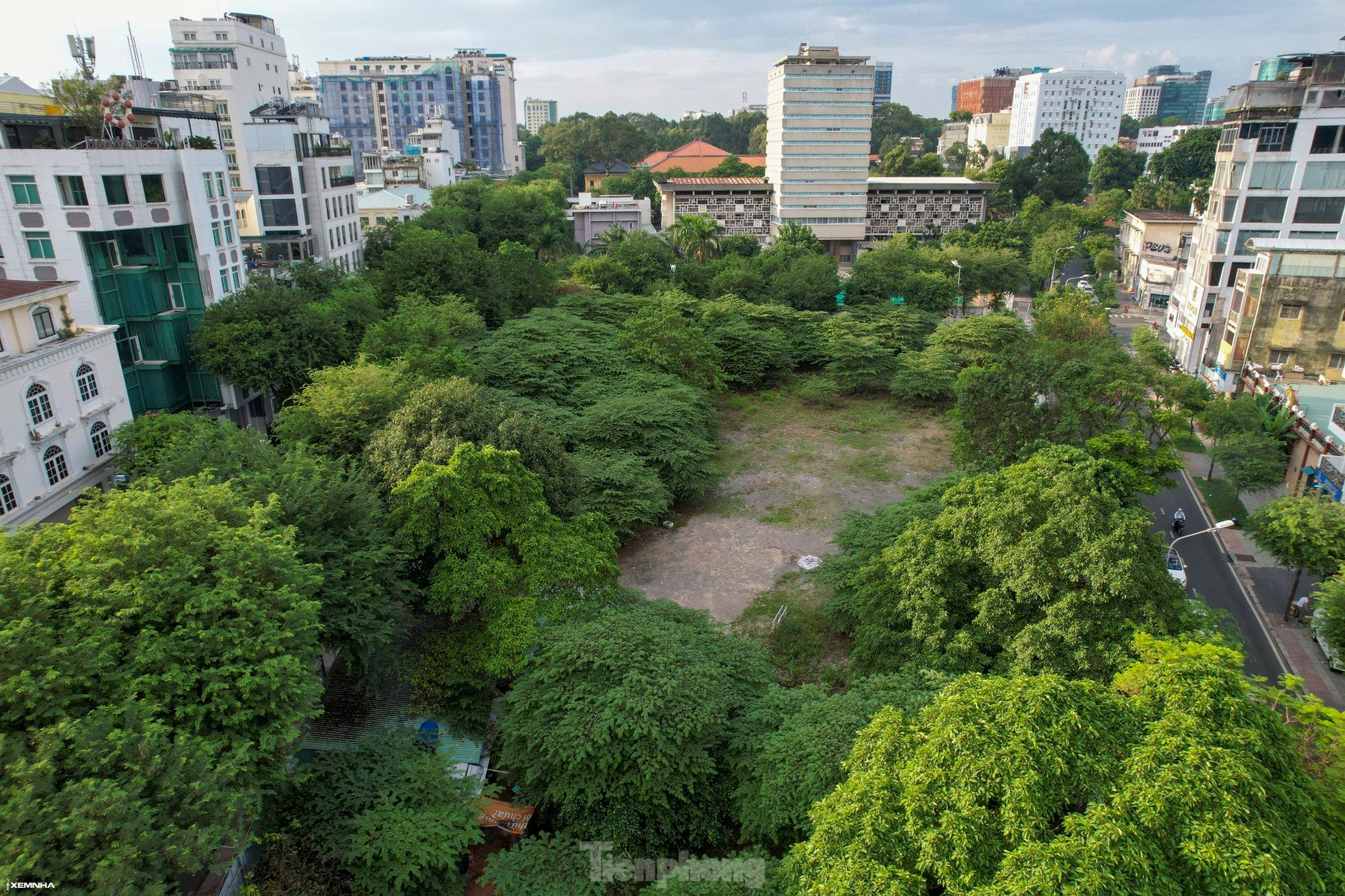 Cỏ hoang um tùm trên đất 'kim cương' nghìn tỷ giữa trung tâm TPHCM - ảnh 1