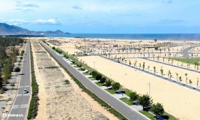 Dừng chuyển nhượng một số lô đất của Phát Đạt, Danh Khôi trong Khu kinh tế Nhơn Hội - ảnh 1
