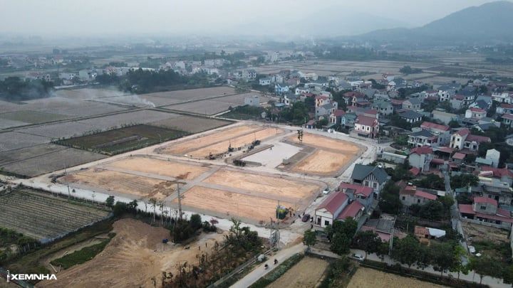 Giá đất Sóc Sơn quanh khu vực đấu giá '30 tỷ đồng một m2' thế nào? - ảnh 1