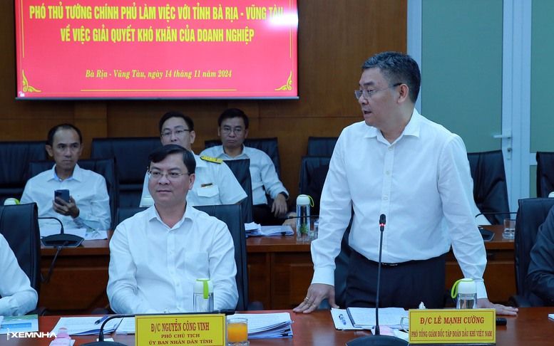 Gỡ khó cho doanh nghiệp, thúc đẩy những dự án có tính động lực ở Bà Rịa - Vũng Tàu - ảnh 4