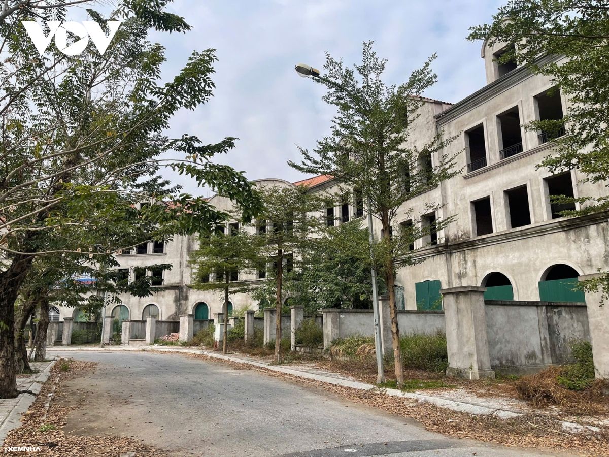 Hàng trăm biệt thự “triệu đô” bị bỏ hoang gây lãng phí ở Hà Nội - ảnh 1
