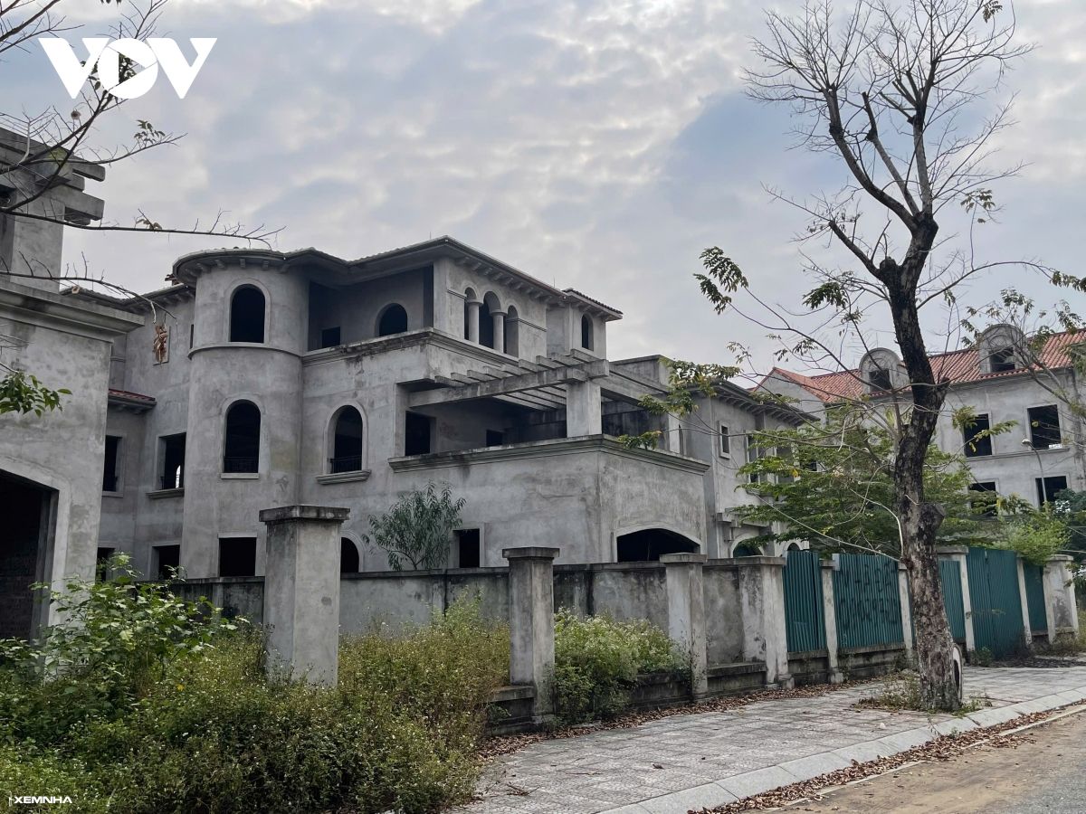 Hàng trăm biệt thự “triệu đô” bị bỏ hoang gây lãng phí ở Hà Nội - ảnh 3