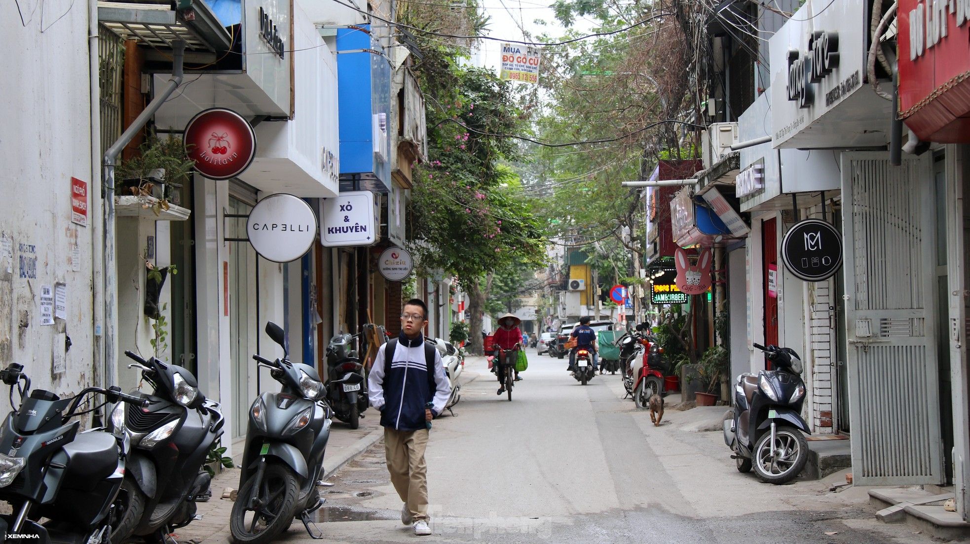 Hiện trạng khu tập thể được Hà Nội gỡ khó cải tạo xây dựng lên 48 tầng - ảnh 10