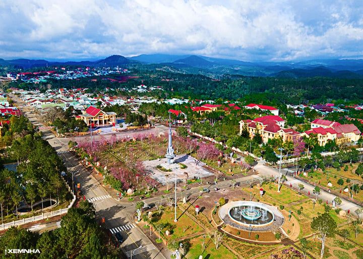 Xôn xao tranh luận về đề xuất xây sân bay Măng Đen - ảnh 1