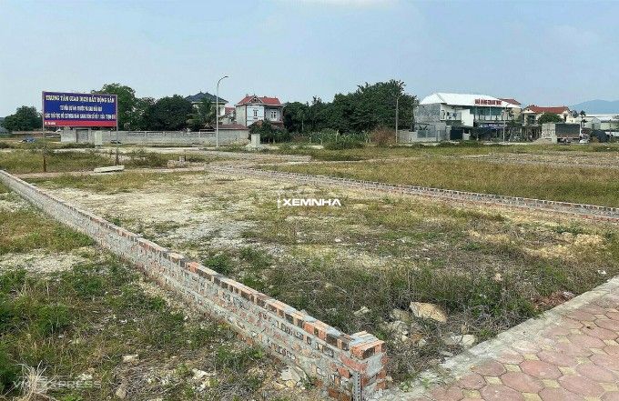 Đất đấu giá Thanh Oai đạt mức giá trúng 90 triệu đồng/m²