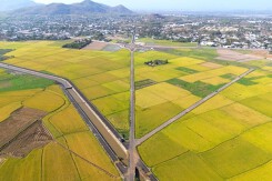 Bà Rịa - Vũng Tàu sáp nhập hai huyện